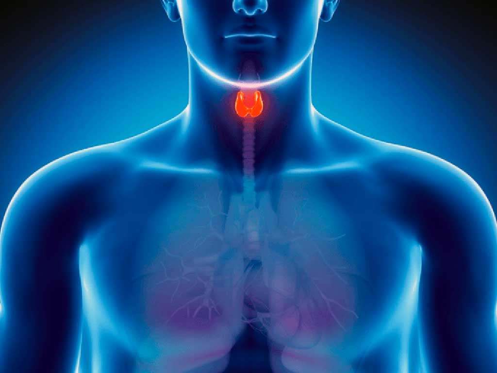 perda-auditiva-causada-por-alteracoes-tireoide